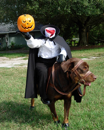 pet_halloween08_57867_xl pet_halloween08_57867_xl