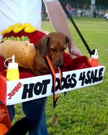 pet_halloween08_59745_xl pet_halloween08_59745_xl