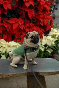 340353_10151237377254613_653956781_o